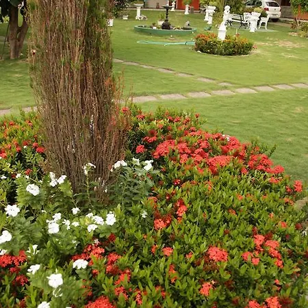 Jardim