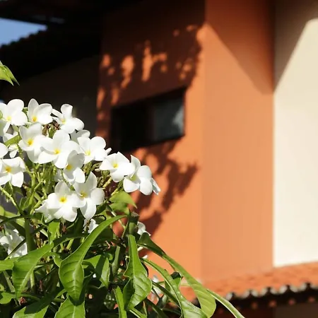 Hotel Jardim