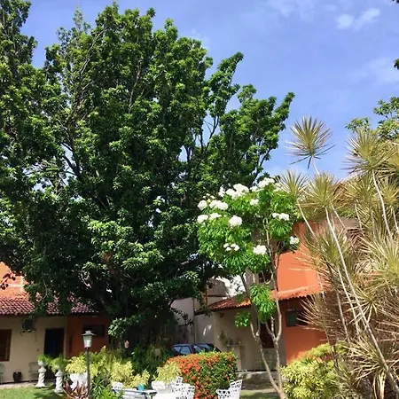 Jardim