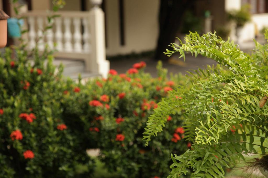 Jardim 2*