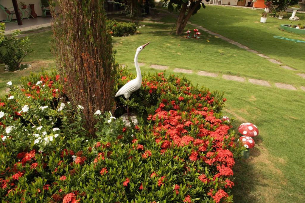 Hotel Jardim