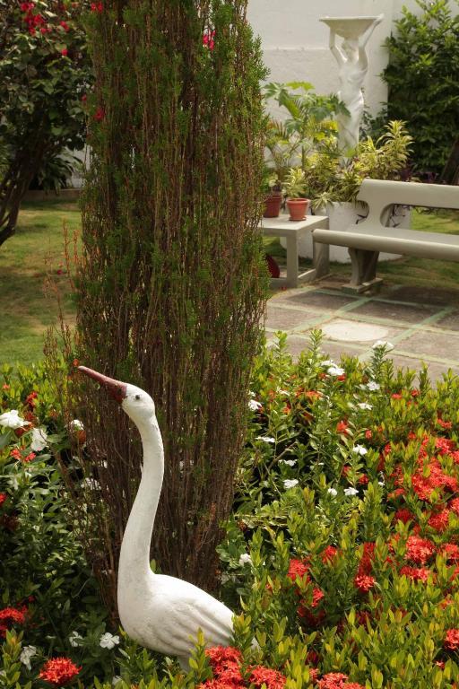 Jardim Fortaleza (Ceara)